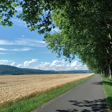 Ferienwohnung Feld Und Wiese Хокстер Экстерьер фото