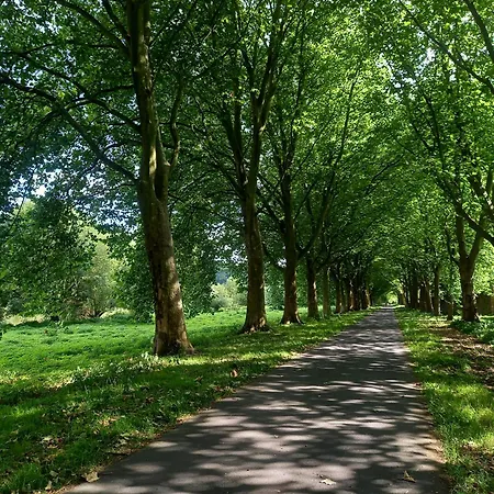 Ferienwohnung Feld Und Wiese Хокстер Экстерьер фото