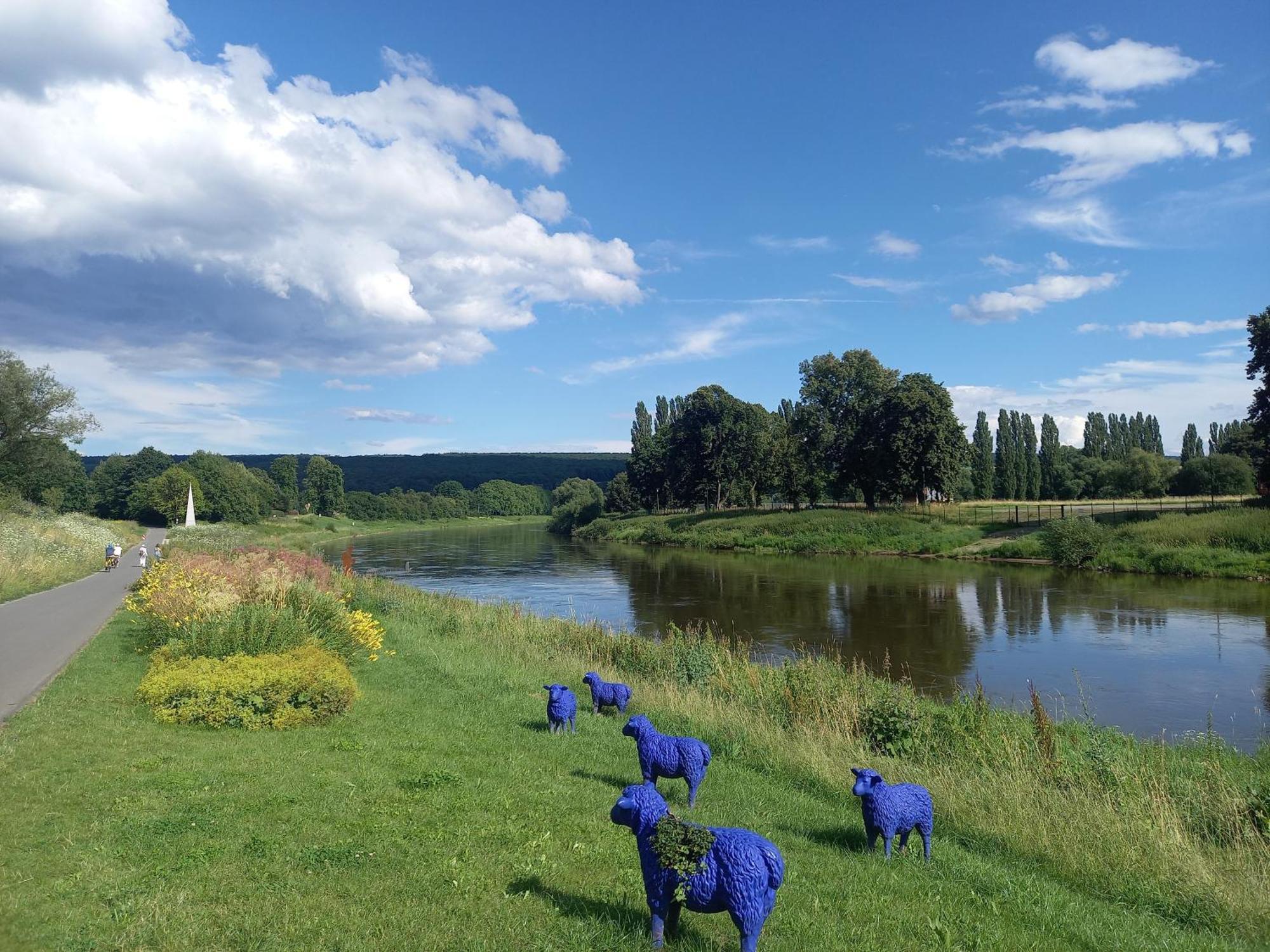 Feld Und Wiese * Hoexter