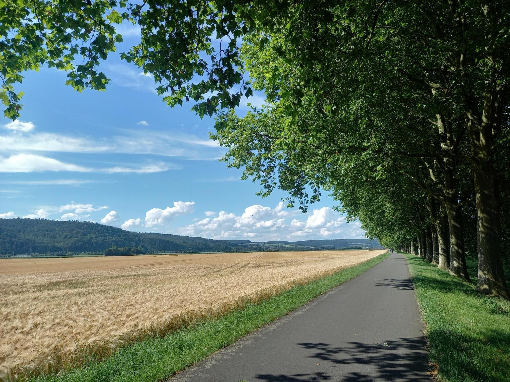 Apartment Feld Und Wiese
